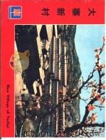建筑实录  大寨新村（ PDF版）