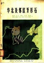 华北及邻区牙形石 1983 PDF电子版封面 13031·2295 太庠,张放,向维达等著