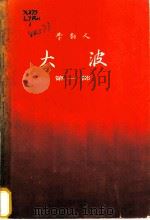 大波 第1部 1982 PDF电子版封面 10019·3366 李?人