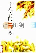 十八岁的雨季 1994 PDF电子版封面 7220040326 金朋,唐英编选