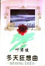 冬天狂想曲 1995 PDF电子版封面 7805942153 叶君健著