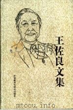 王佐良文集 1997 PDF电子版封面 7560011195 王佐良著