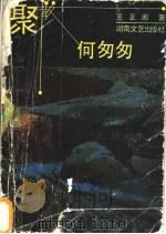聚散何匆匆 1992 PDF电子版封面 7540409509 王正湘著