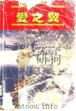 爱之翼 1998 PDF电子版封面 753171051X (美)丹尼尔·斯蒂尔(Danielle Steel)著;刘晓