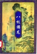 八极游龙 上 1999 PDF电子版封面 7648401928 (台湾)云中岳著