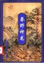 莽野神龙 上 1999 PDF电子版封面 7648401956 (台湾)云中岳著