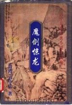 魔剑惊龙 上 1999 PDF电子版封面 7648401957 (台湾)云中岳著