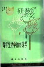 青年生活中的心理学 1987 PDF电子版封面 7501400075 王恩群等著