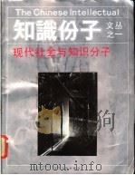 现代社会与知识分子 1989 PDF电子版封面 7205008867 梁从诫主编
