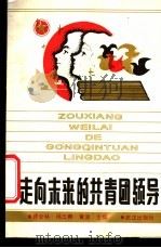 走向未来的共青团领导 1988 PDF电子版封面 7543001235 缪合林等主编