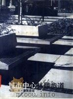 城市中心林荫步道 1984 PDF电子版封面 哈维·米·鲁宾斯坦著