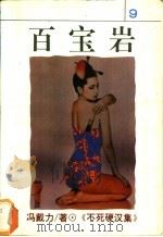 百宝岩 1994 PDF电子版封面 7538707948 冯戴力著