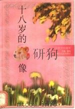 十八岁的偶像 1994 PDF电子版封面 7220040334 谢鸥主编;晓莺,文宁编选