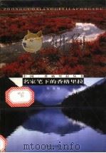名家笔下的香格里拉 1999 PDF电子版封面 7222028382 杨森编