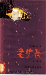 老炉长 叙事长诗 1972 PDF电子版封面 10110·222 陈瑞康著