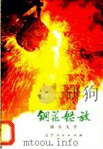 钢花怒放 报告文学 1974 PDF电子版封面 10090·101 大连钢厂宣传组编