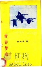 青春梦痕 1993 PDF电子版封面 7105017015 陈修平著