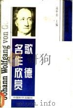 歌德名作欣赏 1996 PDF电子版封面 7801015290 高中甫主编