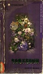 当玫瑰开花的时候 1998 PDF电子版封面 7800509478 张光勤,王洪主编