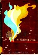 熊熊燃烧的岛 科学幻想小说 1983 PDF电子版封面 10196·033 (苏)阿·卡赞采夫(А.Казанцев)著;聂刚正等译
