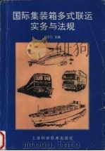 国际集装箱多式联运实务与法规 1995 PDF电子版封面 7532338819 杨南刚主编
