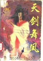 神风惊云 5 天剑舞凤 中 1997 PDF电子版封面 7536332742 名剑著