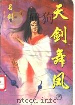 神风惊云 5 天剑舞凤 下 1997 PDF电子版封面 7536332742 名剑著