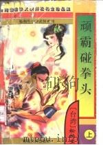 顽霸碰拳头 上 1997 PDF电子版封面 7805997063 松柏生著