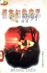 俏寡妇的魔咒 1997 PDF电子版封面 7204032691 晓翎著