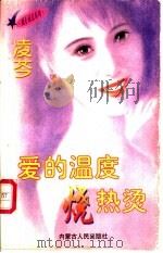 爱的温度烧热烫 1997 PDF电子版封面 7204032691 凌芩著