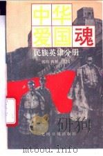 中华爱国魂 民族英雄分册 1995 PDF电子版封面 7800915816 钱均,鲁越主编