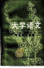 《大学语文》考试复习提要 1986 PDF电子版封面 7354·004 张远著