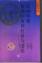 近500年来福建的家族社会与文化 1991 PDF电子版封面 754260449X 陈支平著