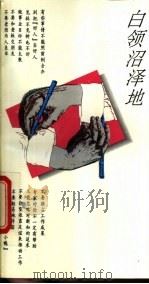 白领沼泽地 1994 PDF电子版封面 7309013913 祁汉堂编