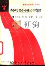 办好乡镇企业要心中有数 1988 PDF电子版封面 7214002094 王国定,冯昕等编写
