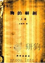 狗的解剖 上 1960 PDF电子版封面 13031·1394 江振声著