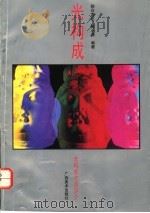 光构成 光构成作品评介 1995 PDF电子版封面 7805827451 (日)朝仓直巳,陈小清编著