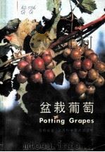 盆栽葡萄 1983 PDF电子版封面 16119·805 葛根编著