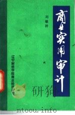 商业实用审计（ PDF版）