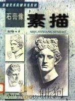 石膏像素描 1999 PDF电子版封面 7810580698 陈华新著