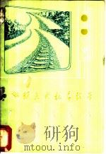双频点工机车信号 1975 PDF电子版封面 铁道部沈阳信号工厂编