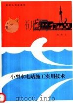 小型水电站施工实用技术 1989 PDF电子版封面 7221003491 梁跃宗著