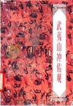 武夷山冲佑观   1996  PDF电子版封面  780610366X  方彦寿编著 