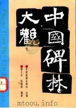 中国碑林大观 1993 PDF电子版封面 7503207795 蒋文光,张菊英编著