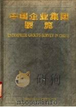 中国企业集团要览 1993 PDF电子版封面 7505805525 万光明总编;《中国企业集团要览》编委会编