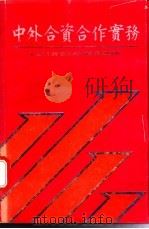 中外合资合作实务 1988 PDF电子版封面 7805210543 林大同等编