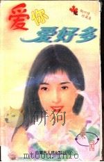 爱你爱好多 1997 PDF电子版封面 7204032748 柴园著