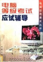 电脑等级考试应试辅导 1997 PDF电子版封面 7508205537 孙清滇,李义宁编著