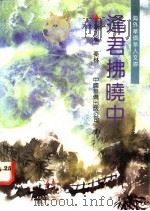 逢君拂晓中 1991 PDF电子版封面 7800744671 (新加坡)秦林著