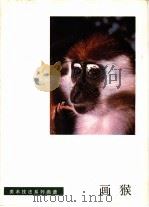 画猴 1987 PDF电子版封面 8098·262 李燕绘